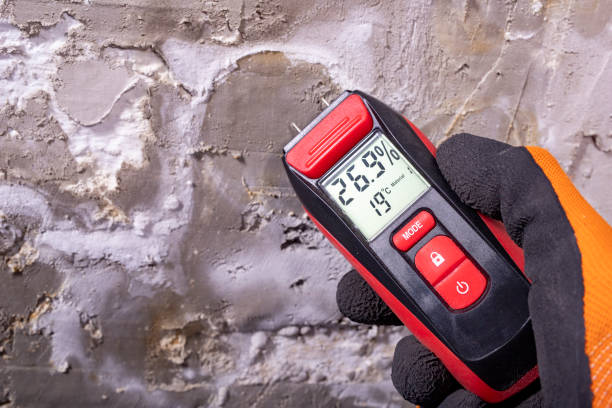 Best Black Mold Removal  in Dauphin, PA
