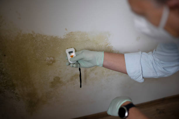 Best Mold Testing  in Dauphin, PA