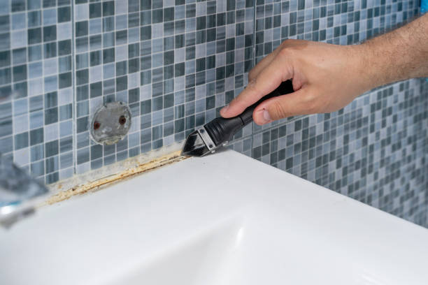 Home Mold Removal in Dauphin, PA